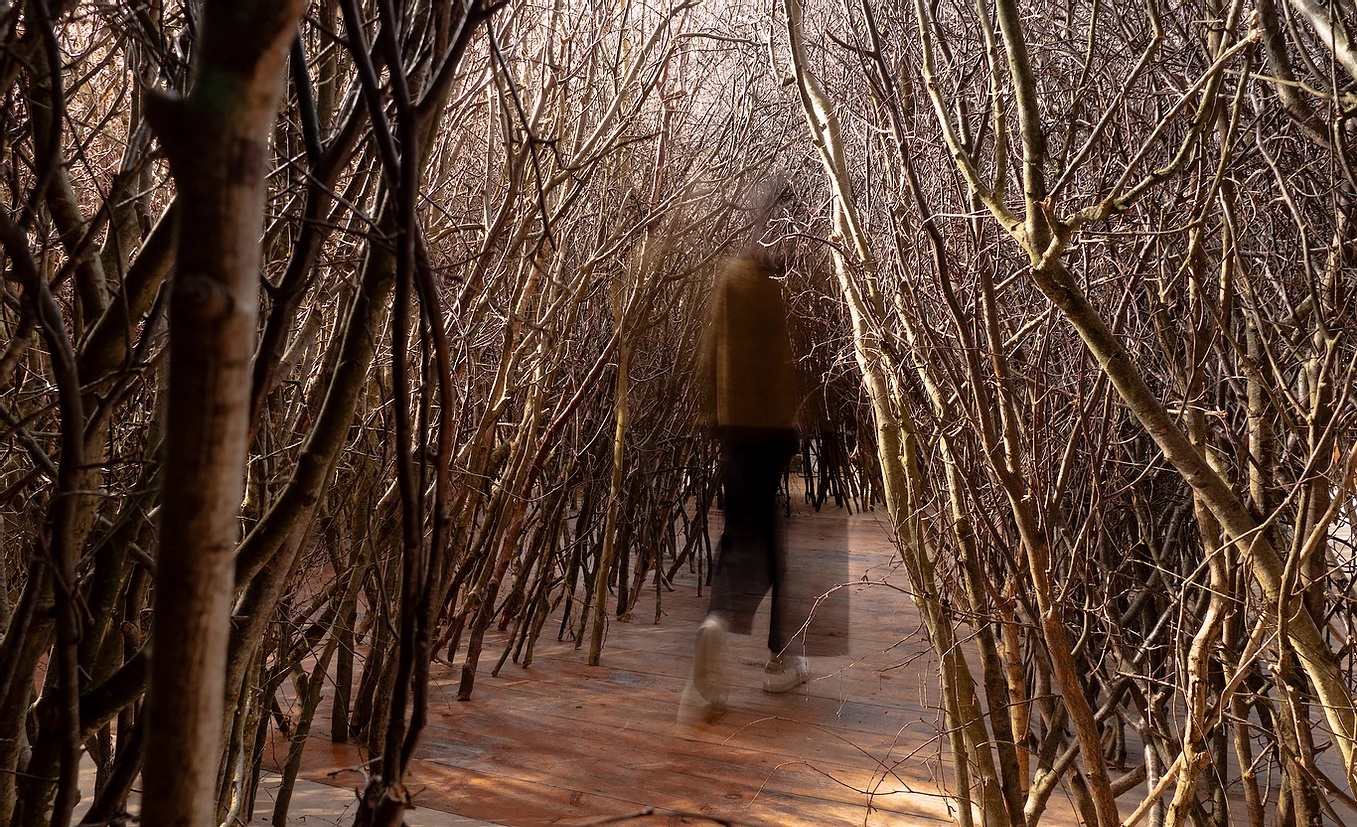 Olafur Eliasson, The forked forest path, 1998. Donated to Towner Eastbourne through the Contemporary Art Society Special Collection Scheme with Lottery funding from Arts Council England, 2004. Photo: Antony Carr