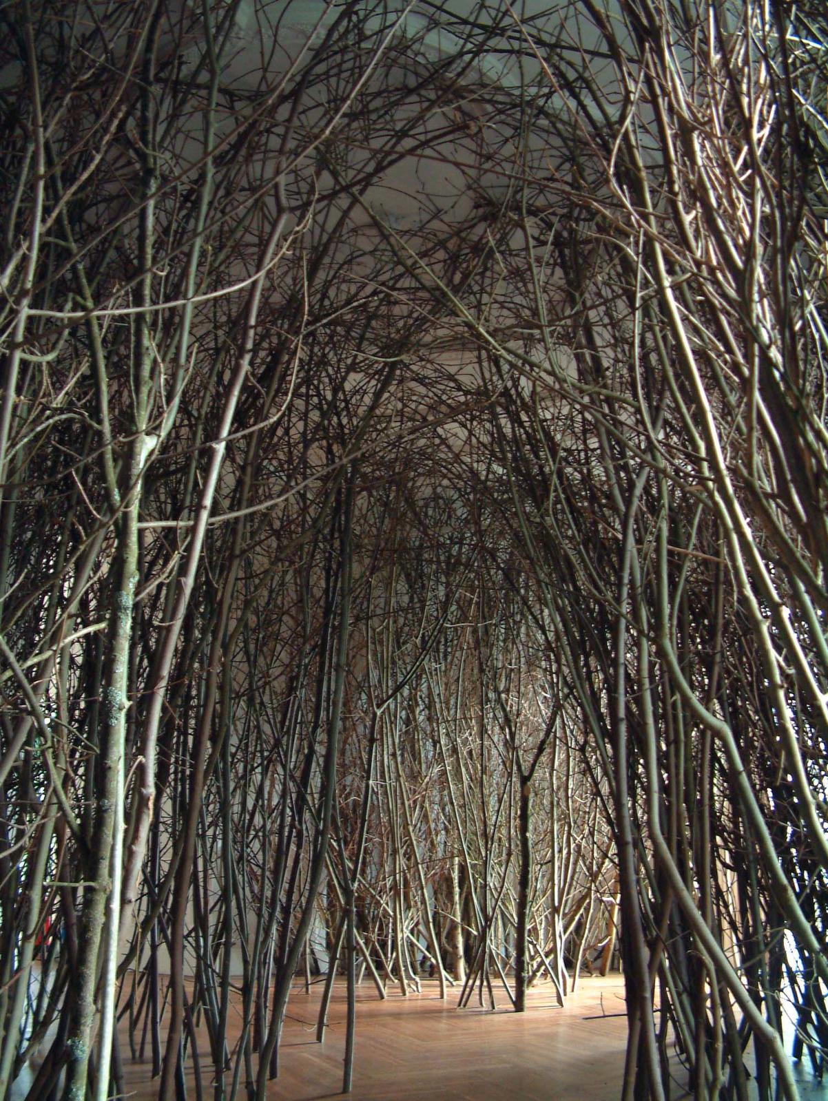 Olafur Eliasson, The forked forest path, 1998. The Towner Art Gallery, Eastbourne, UK, 2004. Photo: Antony Carr