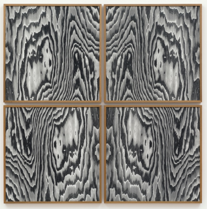 Lisa Oppenheim, Landscape Portraits (Sassafras) (Version I), 2016. Set of four silver gelatin prints in Sassafras frames, Quadriptych: each part: 61 x 61 cm. Courtesy the artist and The Approach, London.