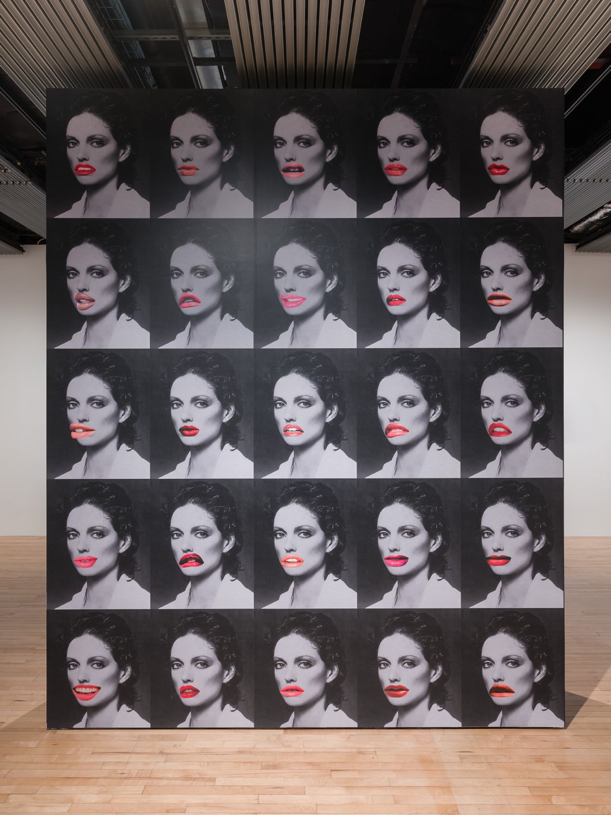 Installation view of Linder: Danger Came Smiling. Photo: Mark Blower. Courtesy the artist and the Hayward Gallery.