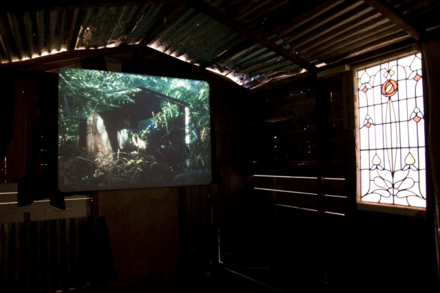 Ben Rivers, Origin of the Species, installation view, 2010. Photo: Andy Keate