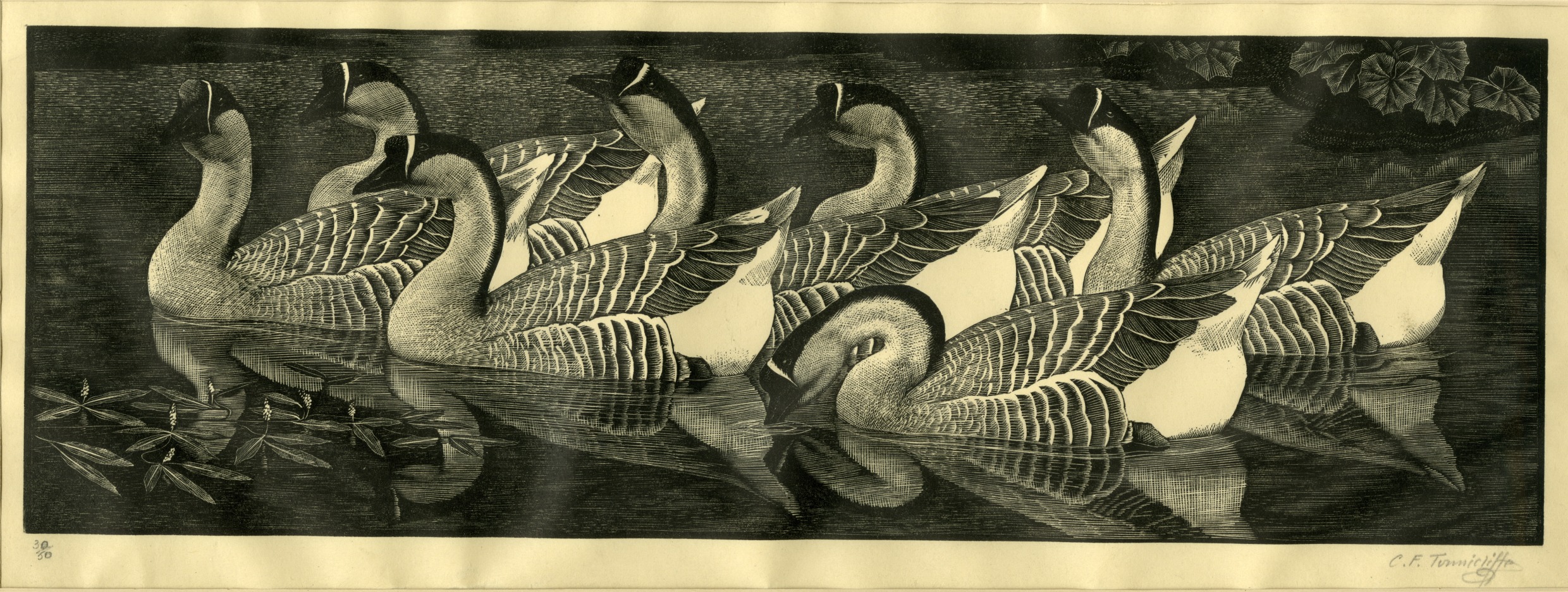 Chinese geese (1937)