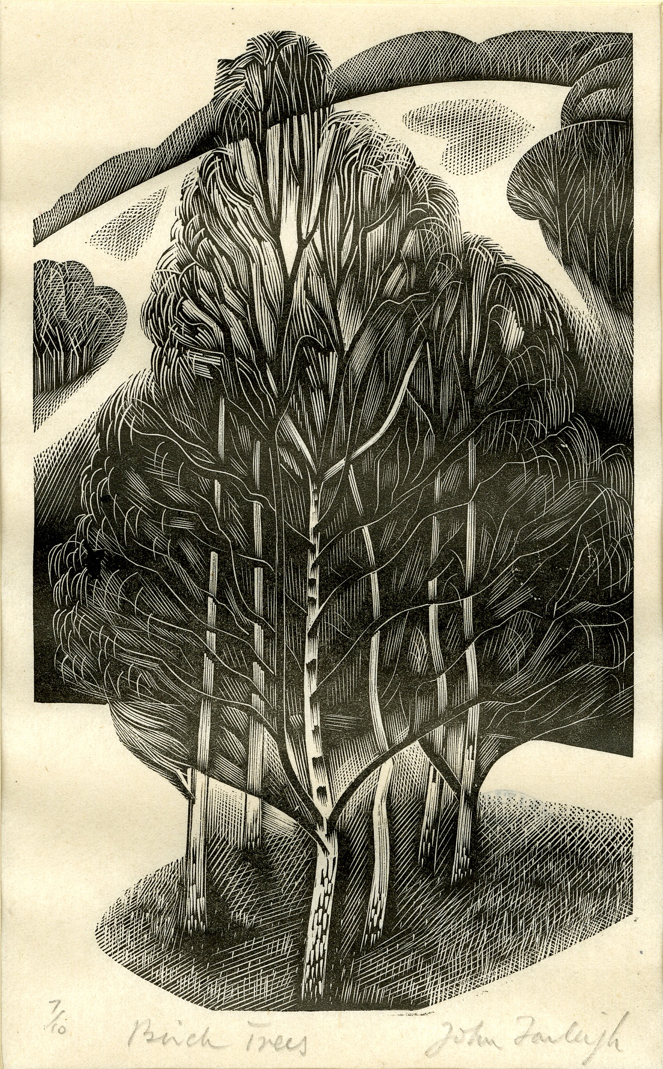 Birch trees (1940s)