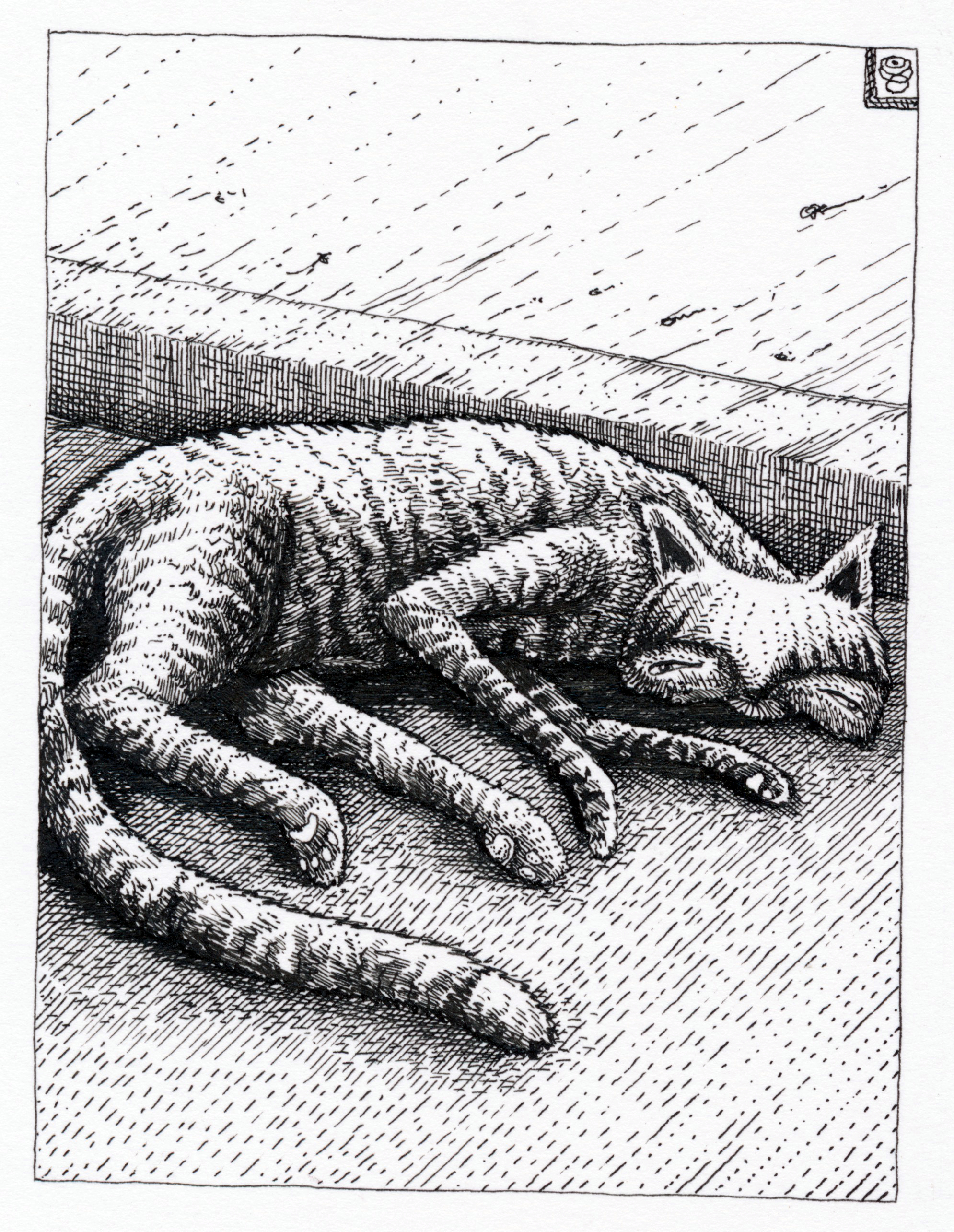The cats sleep in the road now (after drawing this I saw a photo of lions in Kruger national park in South Africa sat in exactly the same way. (Pandemic Diary series, no. 44) (2020)