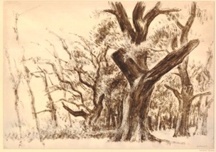 Woodland study, the Avenue, Bucklebury (1941)