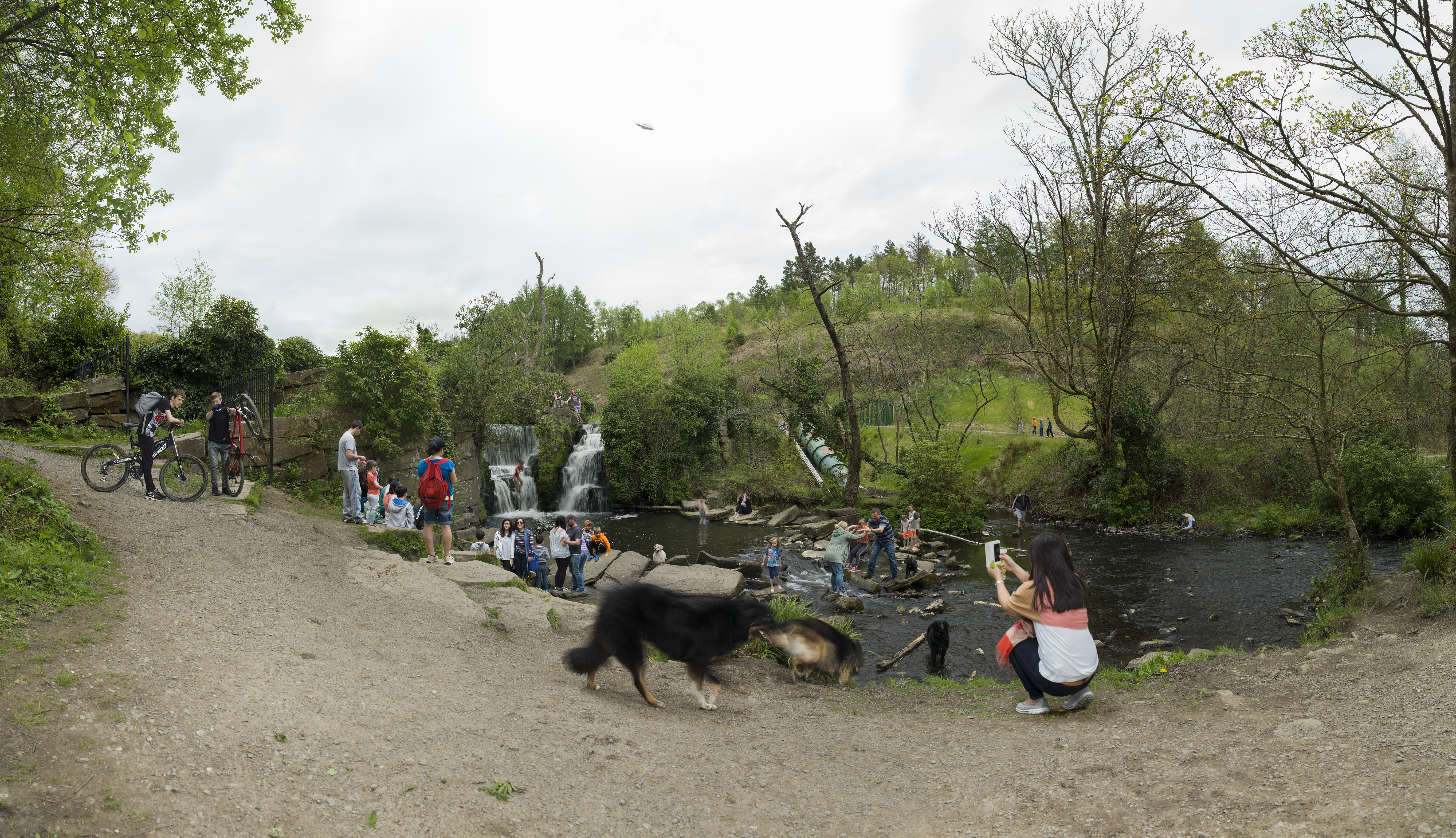 Penllergare (from the series Pleasure Park) (2016)