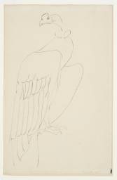 Vulture III (circa 1912-13)