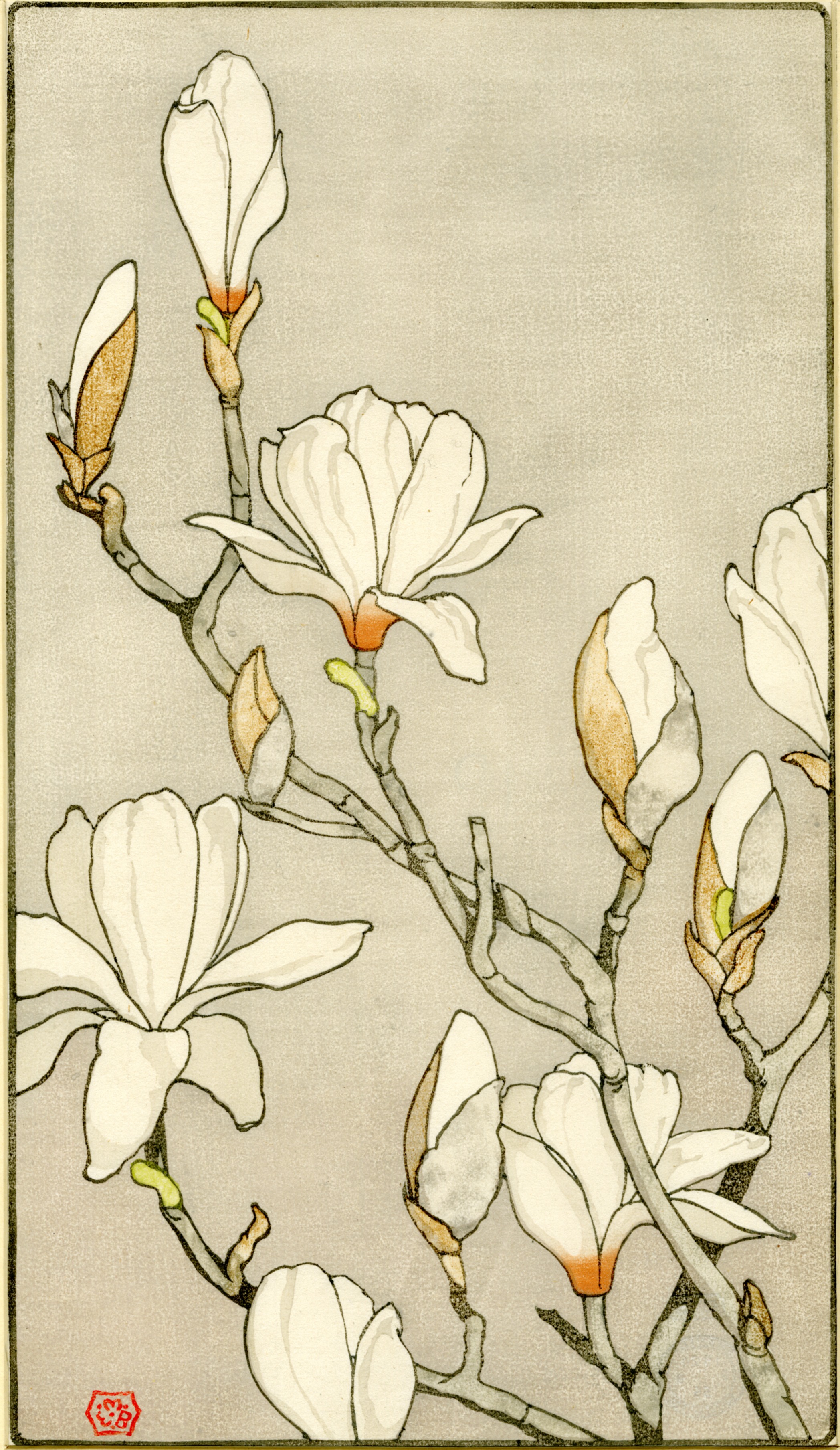 Magnolias (1922)