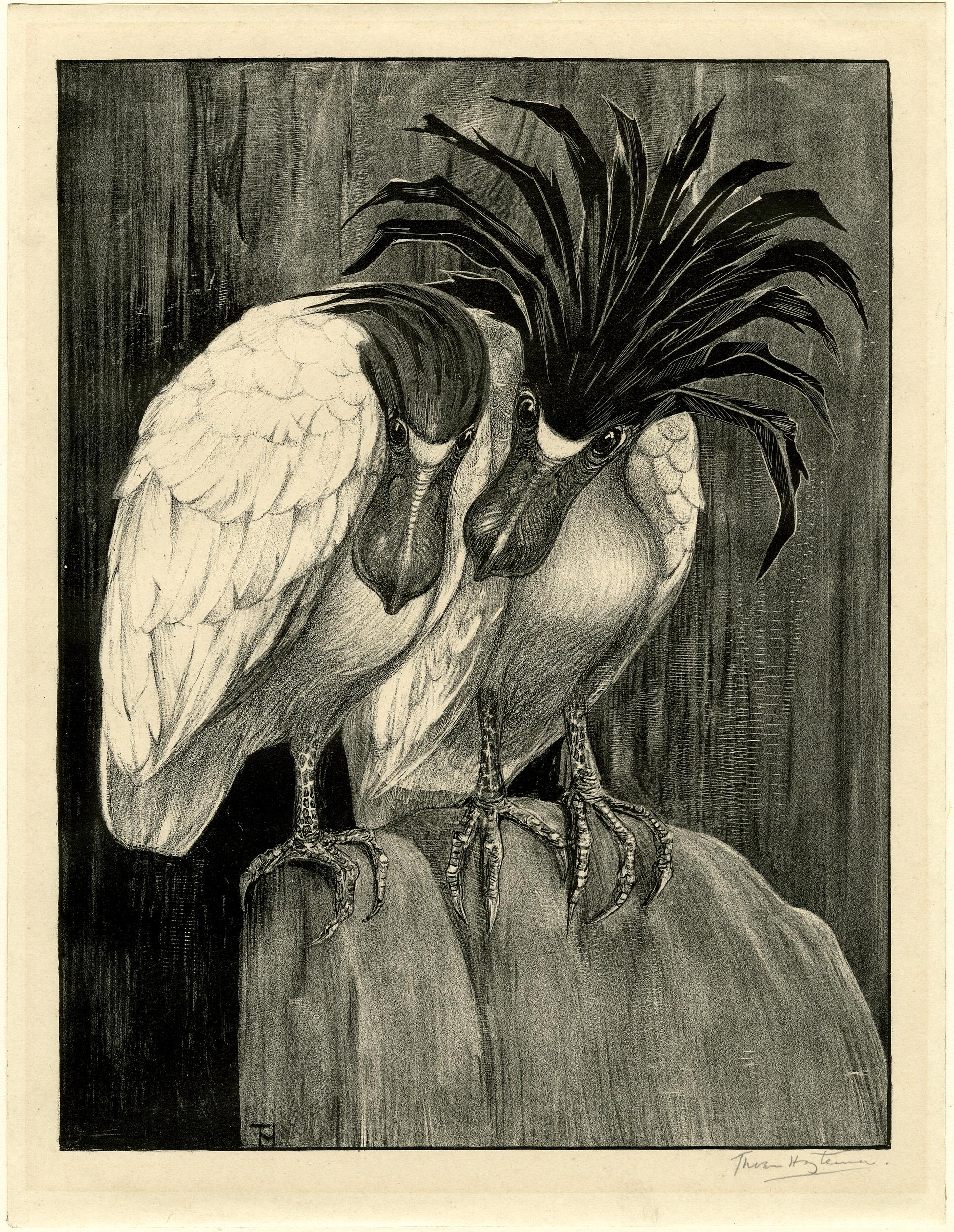 Birds (1898-1900)