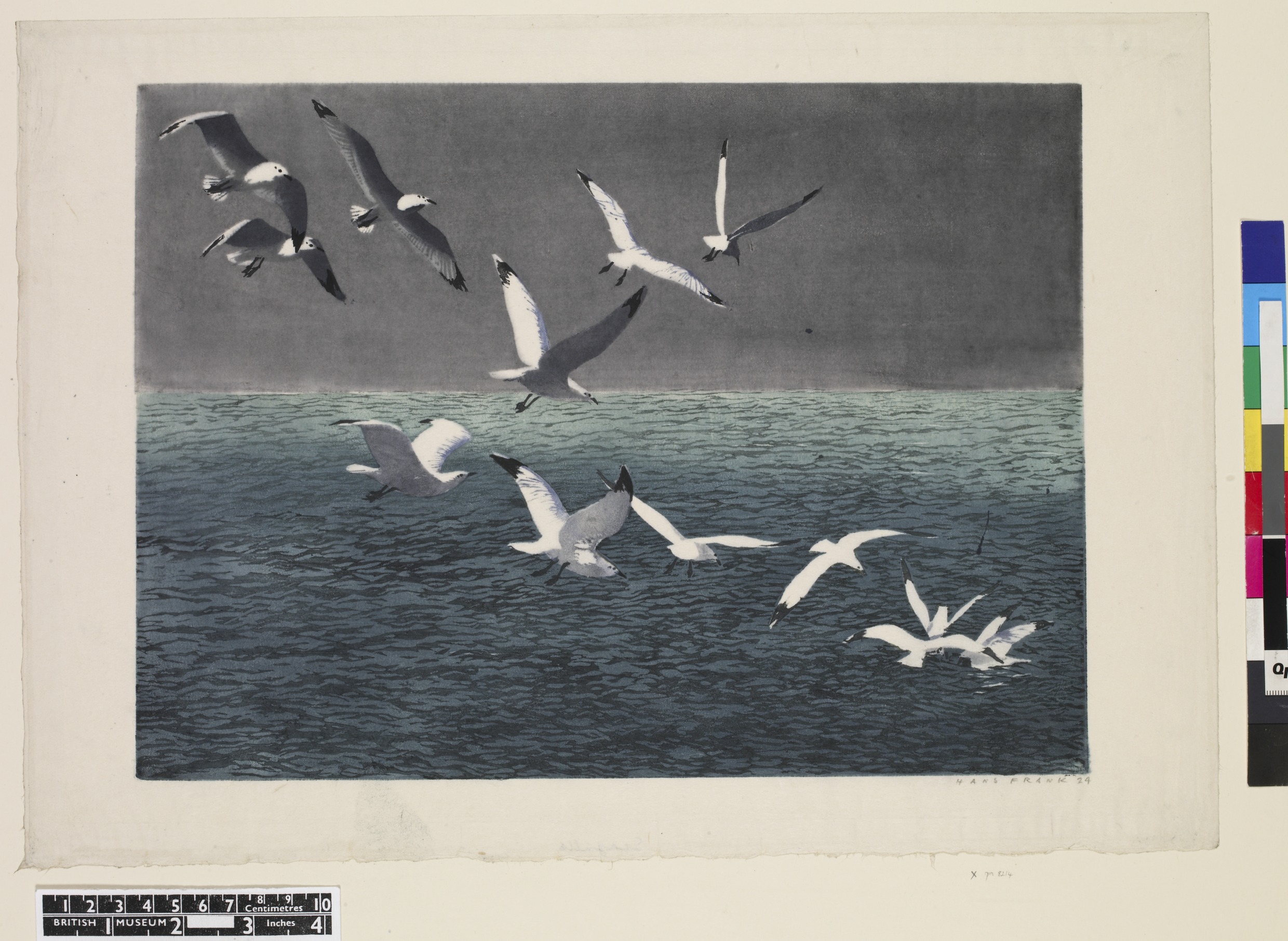 Seagulls (1924)