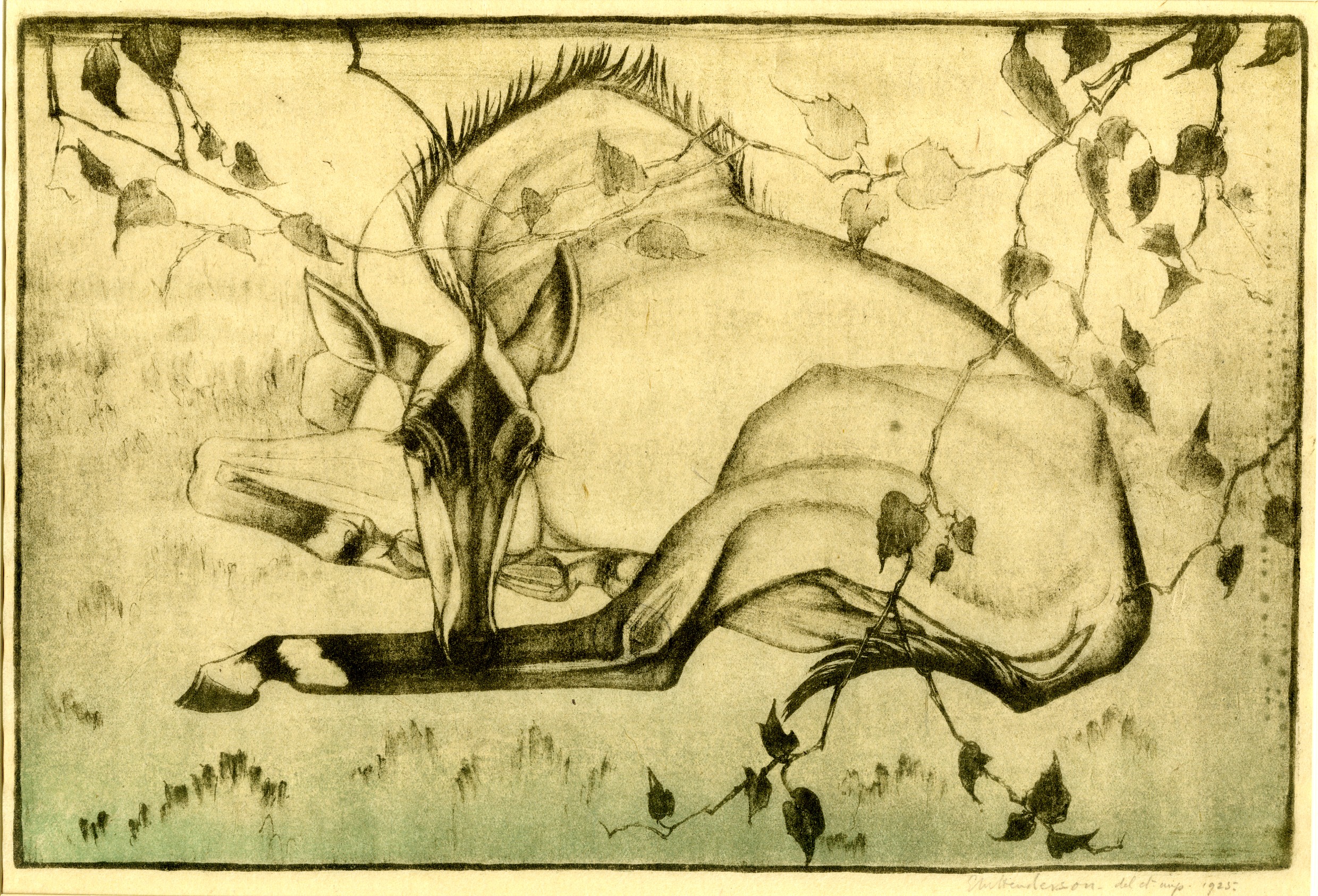 Nilghai (Indian antelope) (1925)