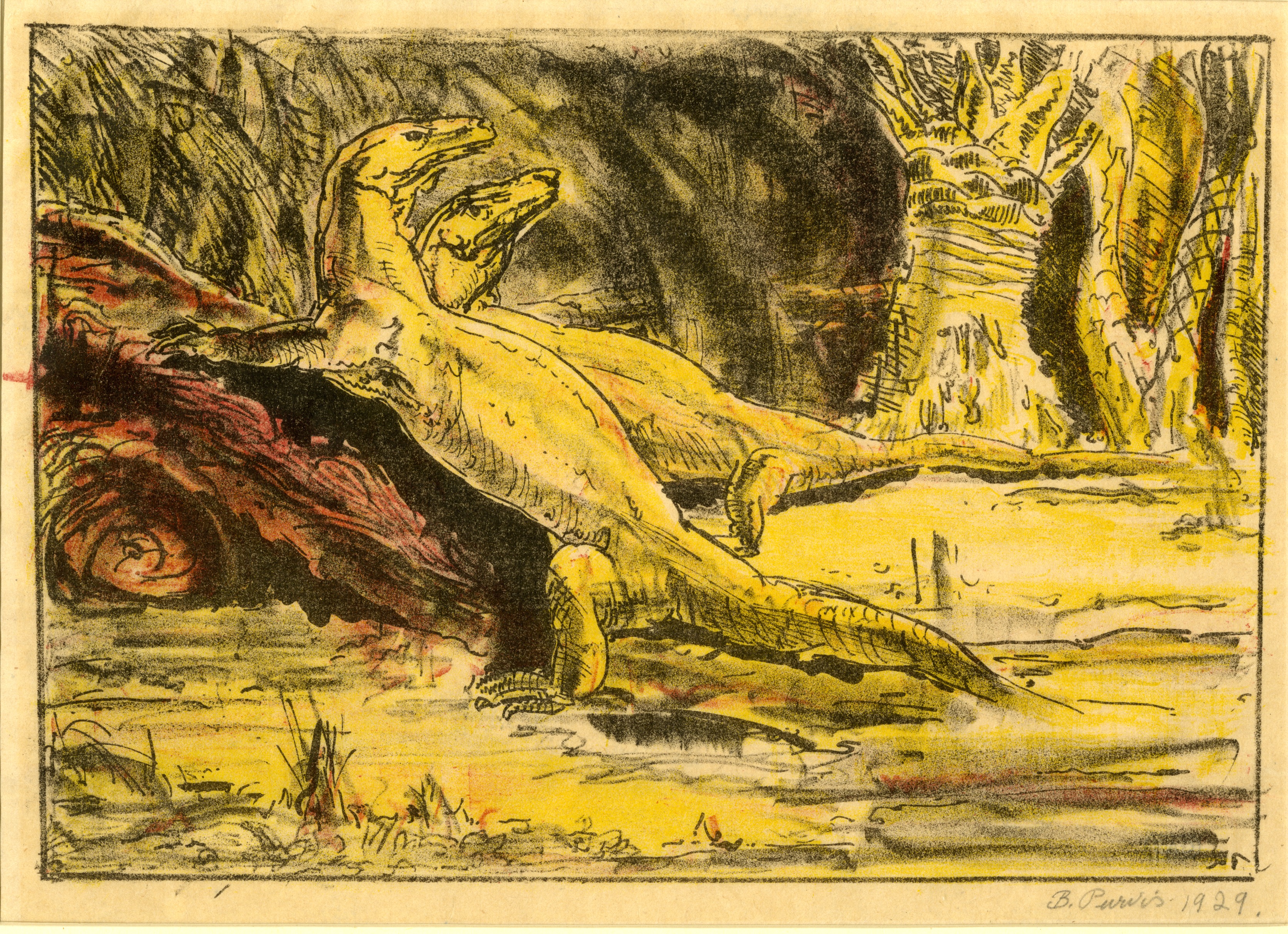 Komodo Dragons (1929)