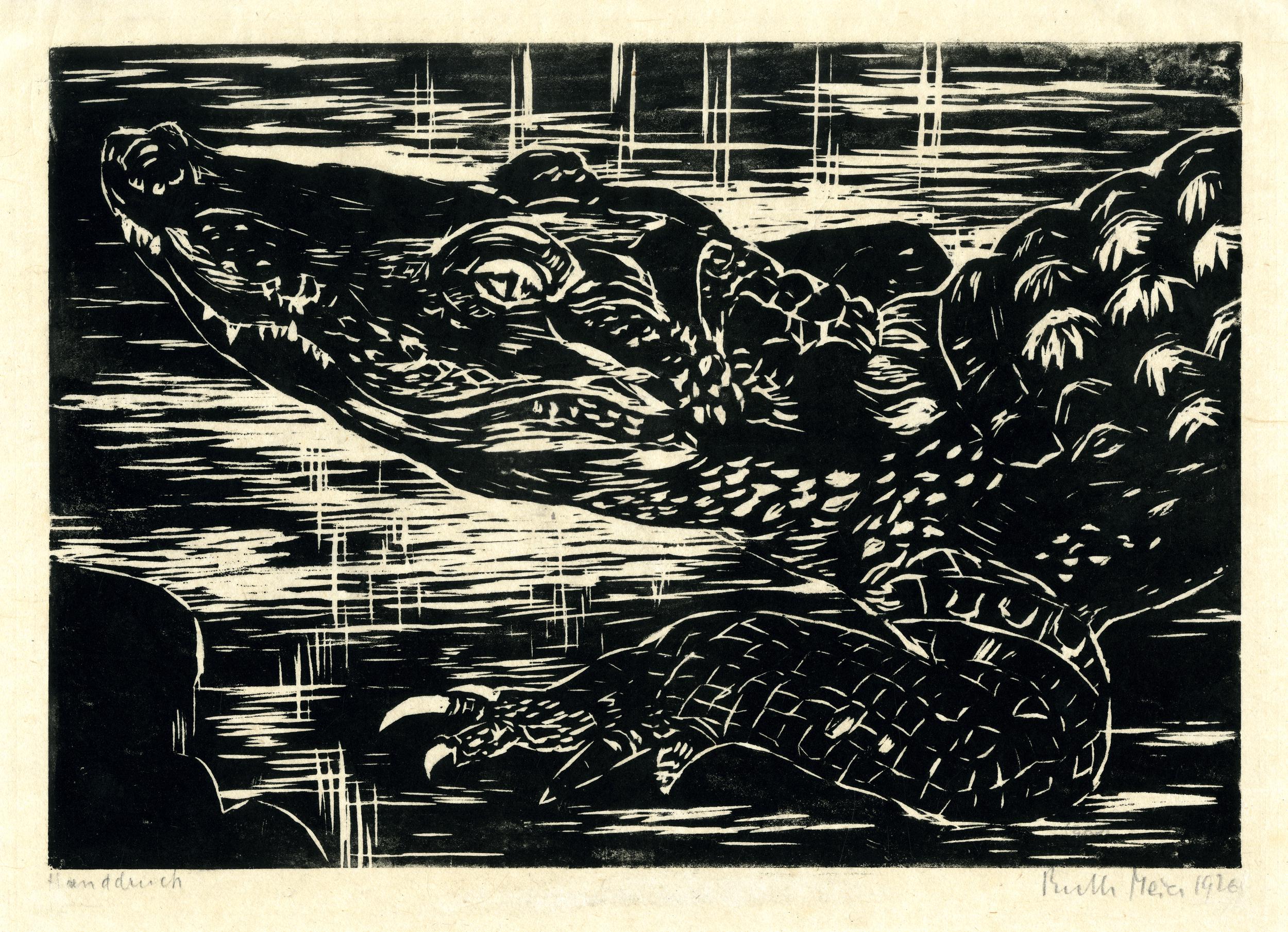 Crocodile (1926)