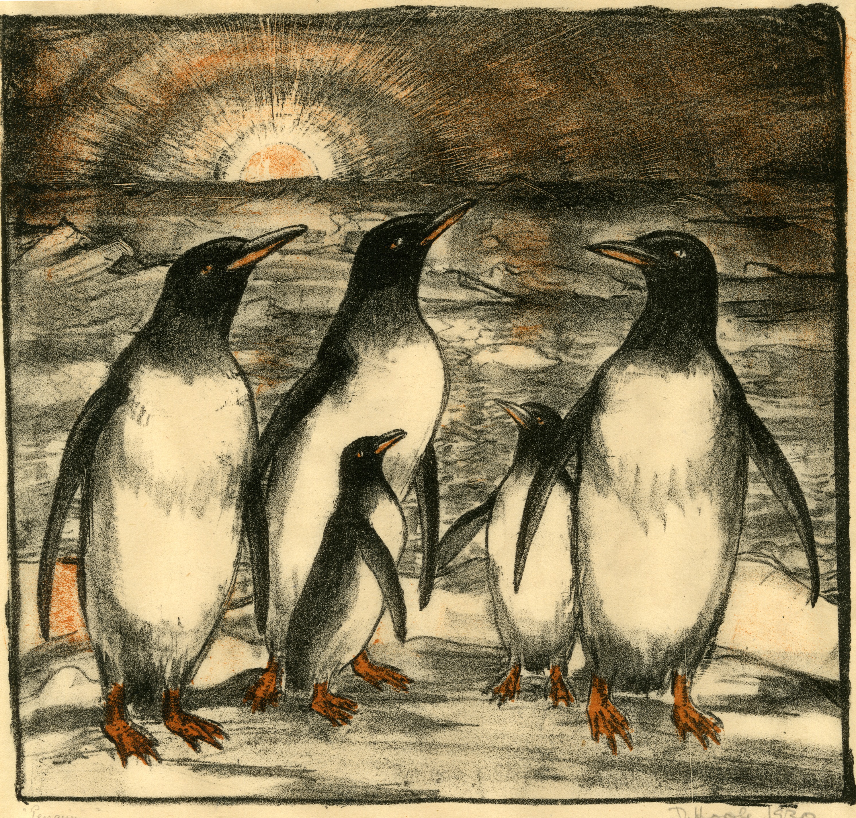 Penguin Drawing & Sketches for Kids - Kids Art & Craft