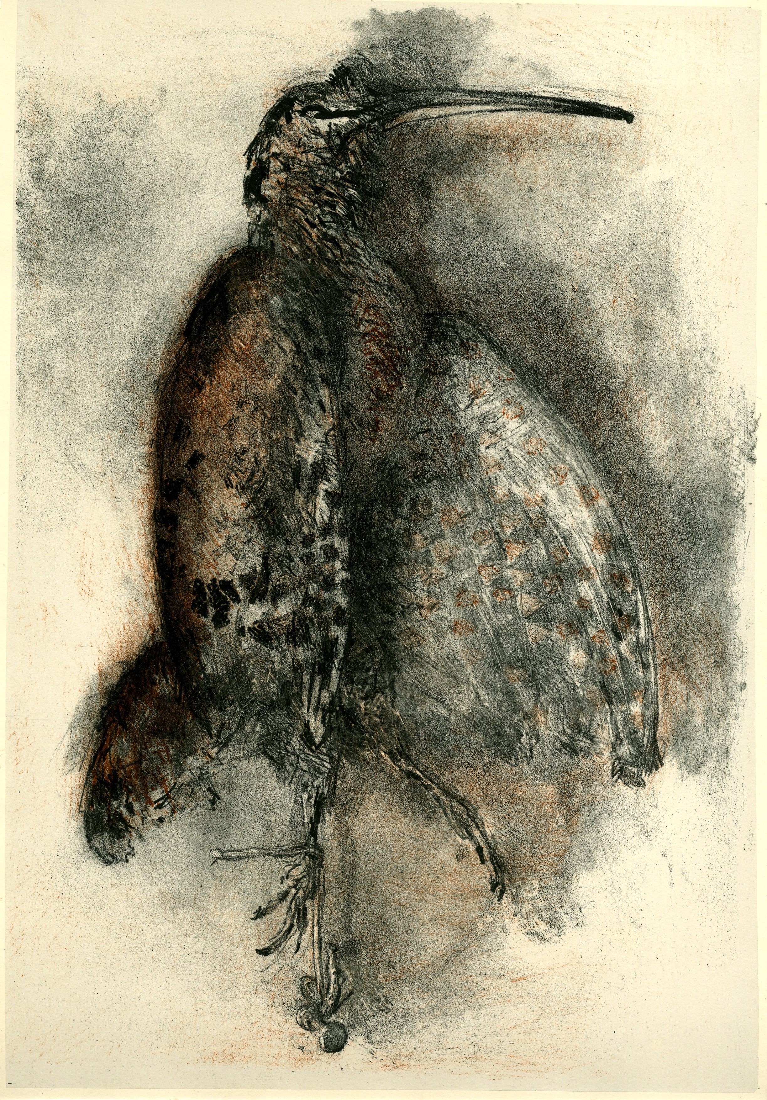 La bécasse (Woodcock) (circa 1933)