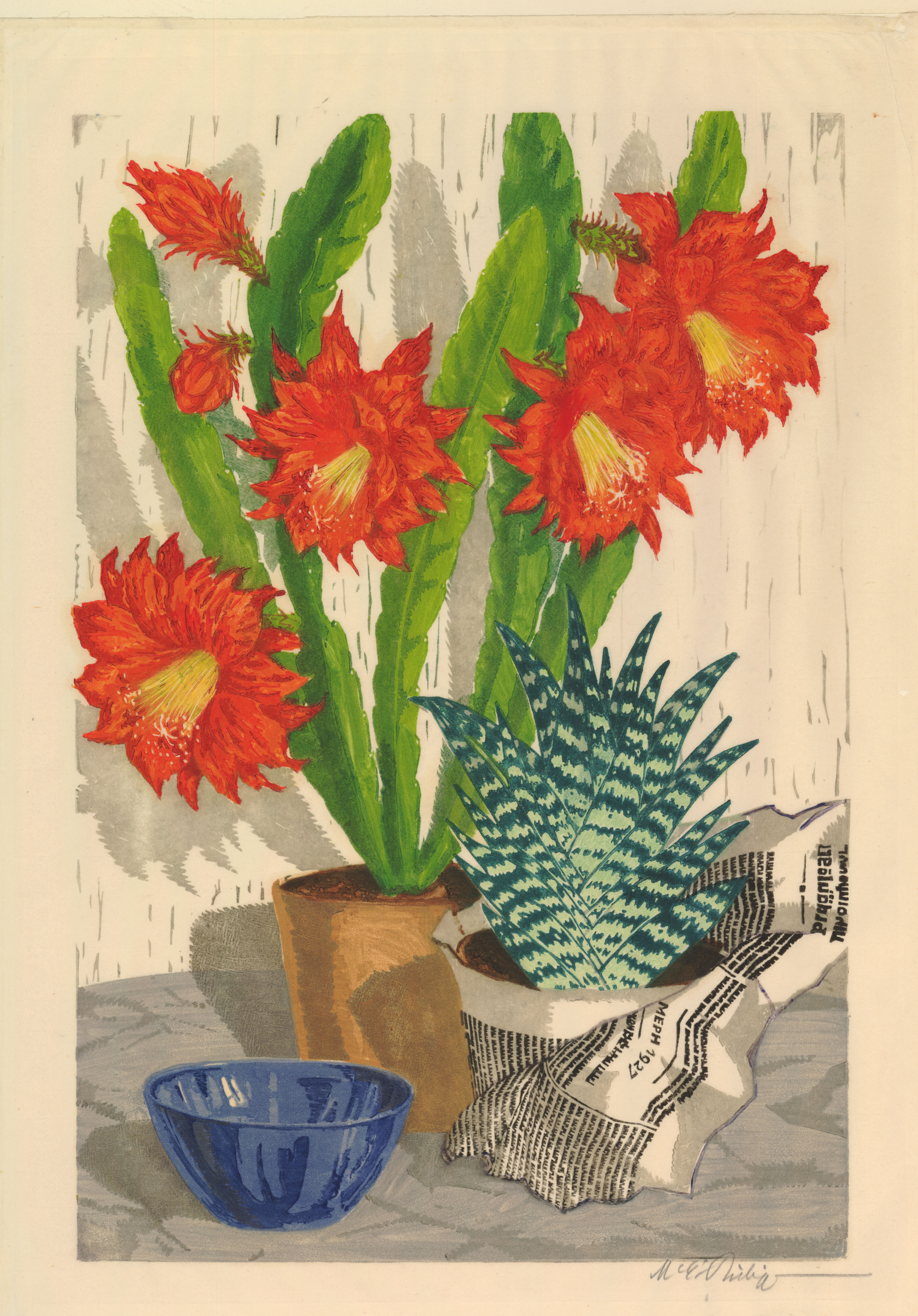 Flowering cactus (1927)