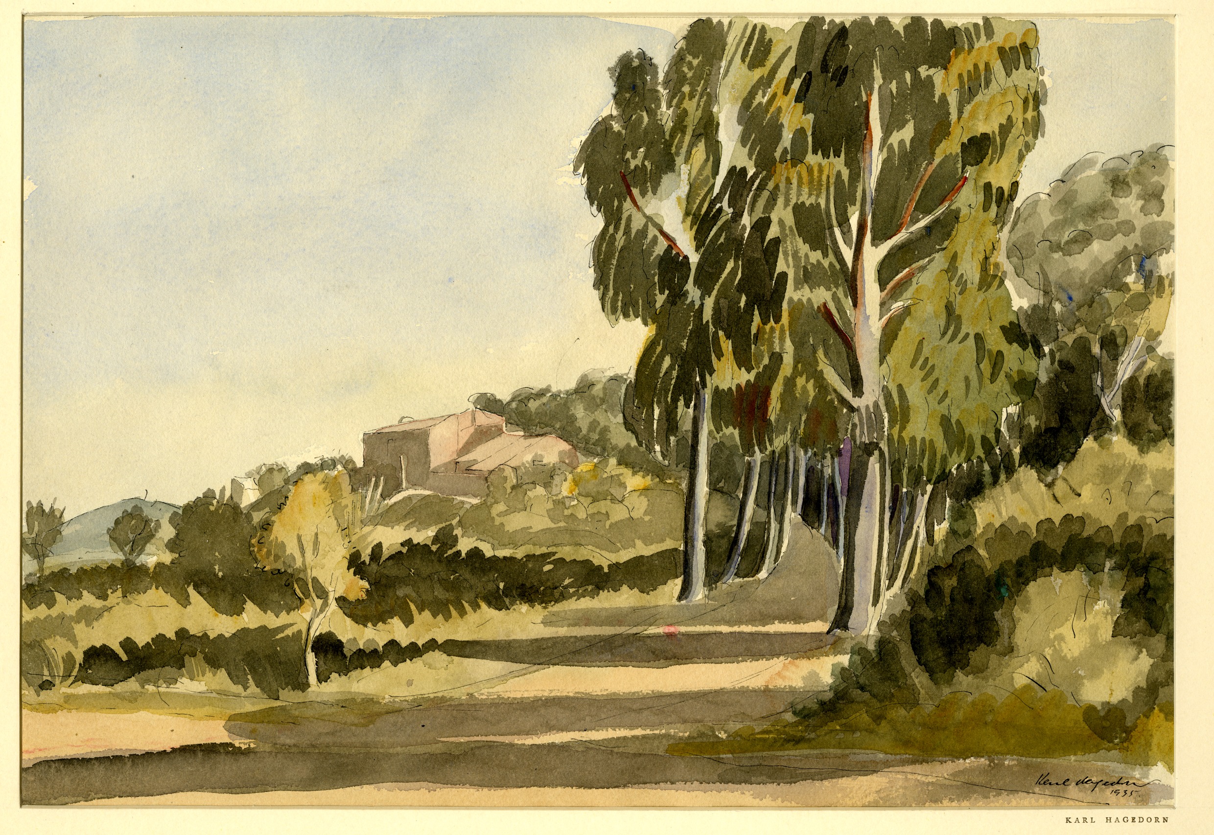 Encalyptus Avenue, Tossa, Catalonia (1935)