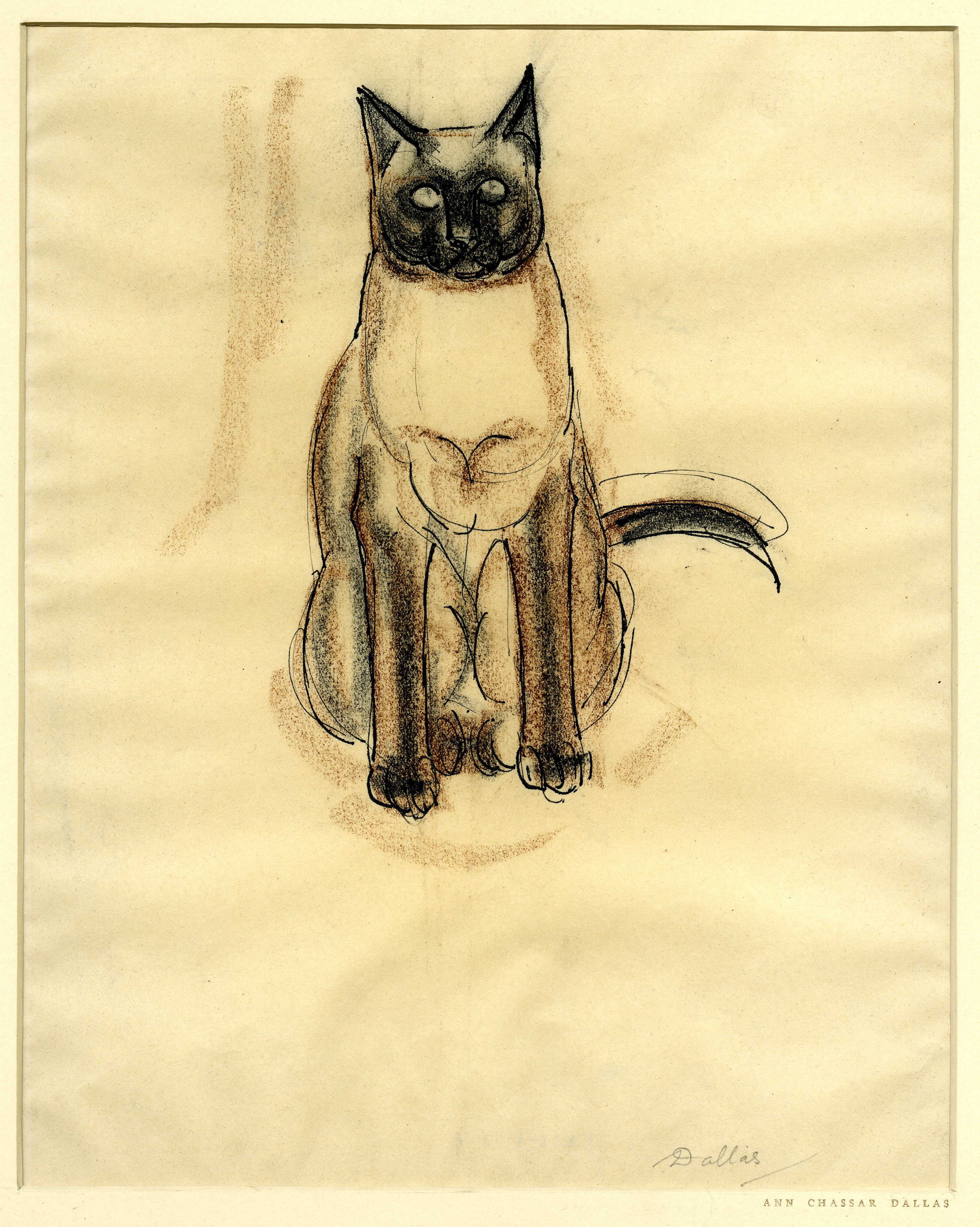 'Chang', a Siamese cat (1925-1936)