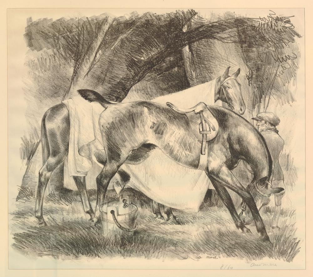 Chevaux au repos sous un arbre (Horses resting underneath a tree) (circa 1930)