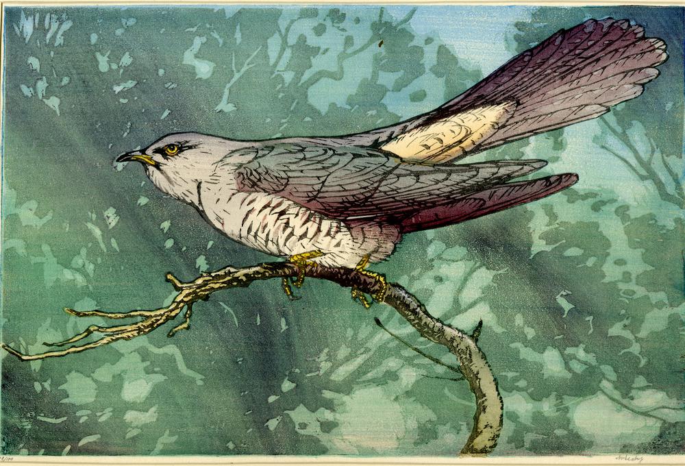Cuckoo calling (1915-1926)