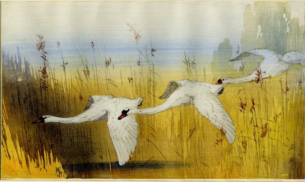 Flying Swans (1923)