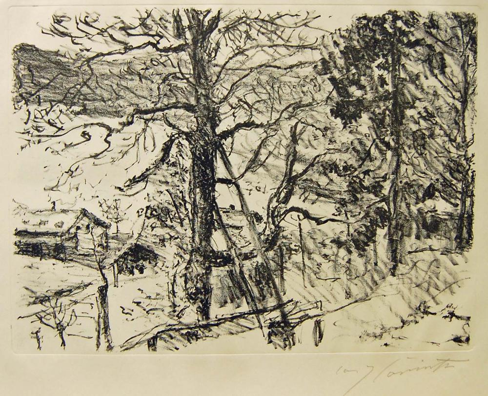 Frühling am Walchensee (Spring by the Walchensee) (Vorfrühling im Gebirge - Early Spring in the Mountains Portfolio) 2. (1922)