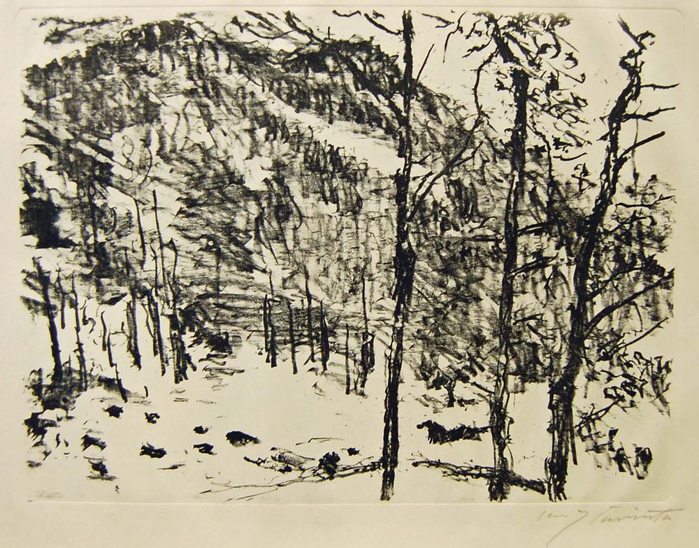 Tal-Grund (Valley) (Vorfrühling im Gebirge - Early Spring in the Mountains Portfolio) 4. (1922)