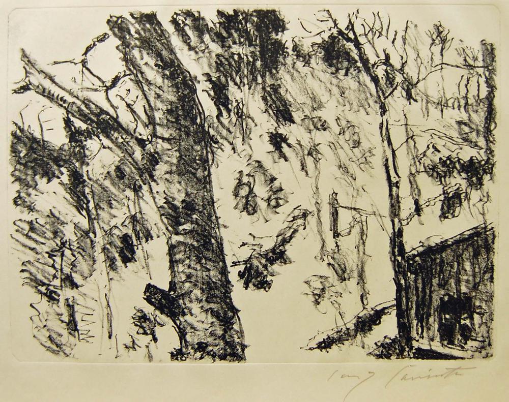 Buchenwald (Beech Woods) (Vorfrühling im Gebirge - Early Spring in the Mountains Portfolio) 5. (1922)