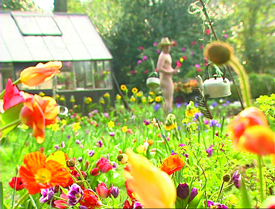 Colours and sounds in Ivan Morison's Garden, Spring 2002 (2002)