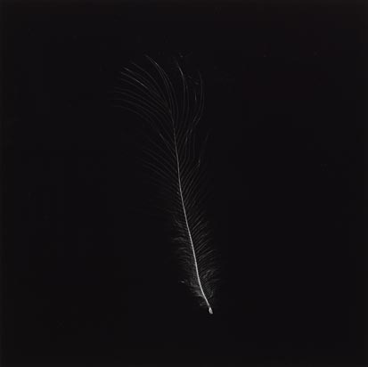 Feather that went to the South Pole - in the sleeping bag of Sir Ranulph Fiennes on his on his trip across Antartica (from the series Up, Down, Charm, Strange; Truth and Beauty) (1998)