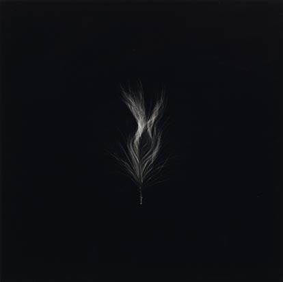 Feather that went to the Top of Everest - in the jacket of Rebecca Stevens, the first British woman to climb Mount Everest (from the series Up, Down, Charm, Strange; Truth and Beauty) (1998)