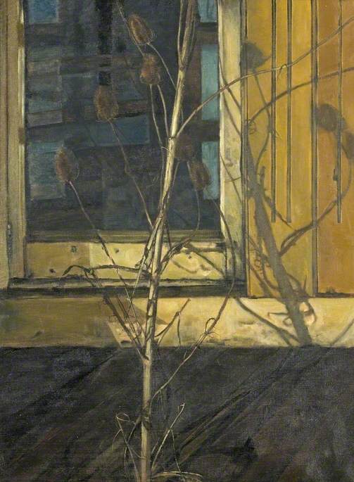 Teasel Plant, 21 Warwick Crescent, W2, London (1955)