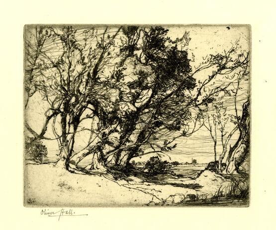 Study of Trees, Hayling Island (1884-1922)