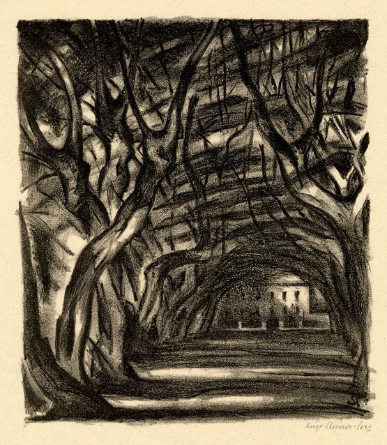 Old trees (1927)