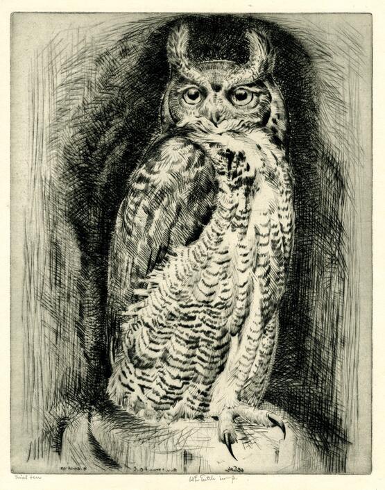 Giant horned owl (1931)