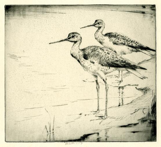 Yellowlegs (1930)