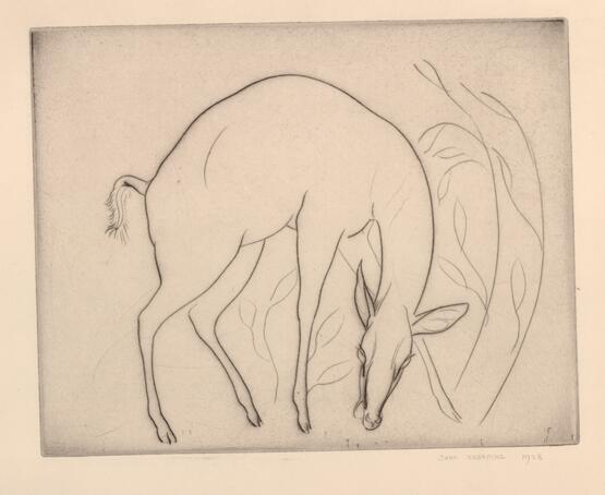 Deer grazing (1928)