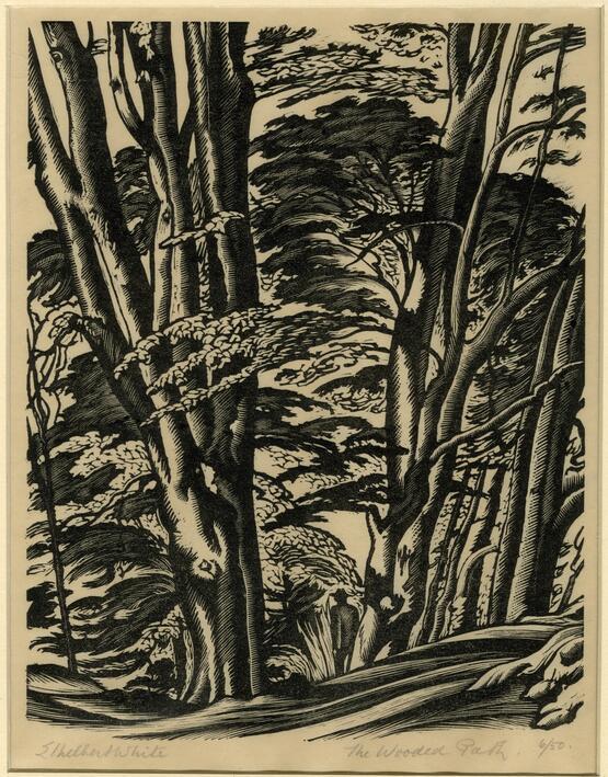 The Wooded Path (1930)