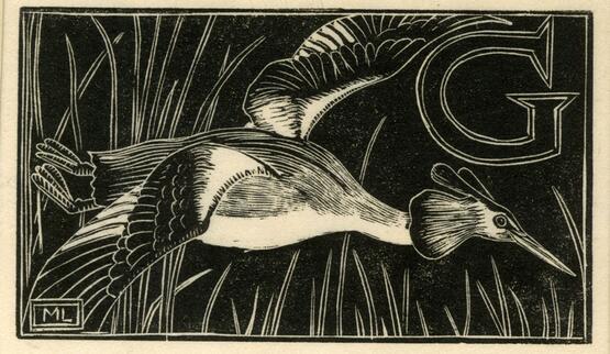 'G' - Grebe (Illustration to 'An Alphabet of British Birds') (1934-5)