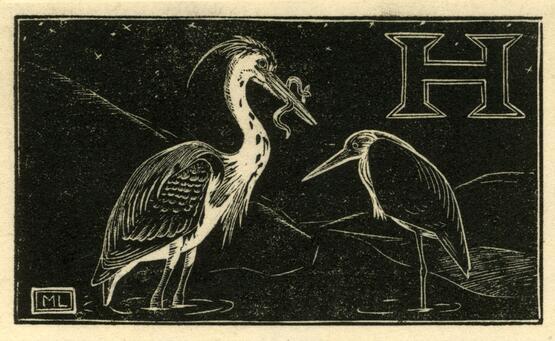 'H'  - Heron (Illustration to 'An Alphabet of British Birds') (1934-5)