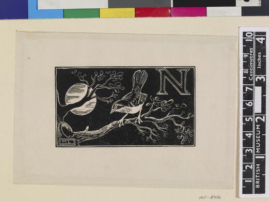 'N' - Nightingale (Illustration to 'An Alphabet of British Birds') (1934-5)