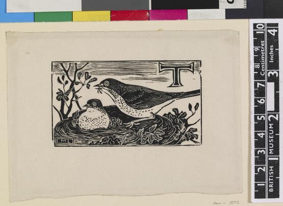 'T' - Thrush (Illustration to 'An Alphabet of British Birds') (1934-5)