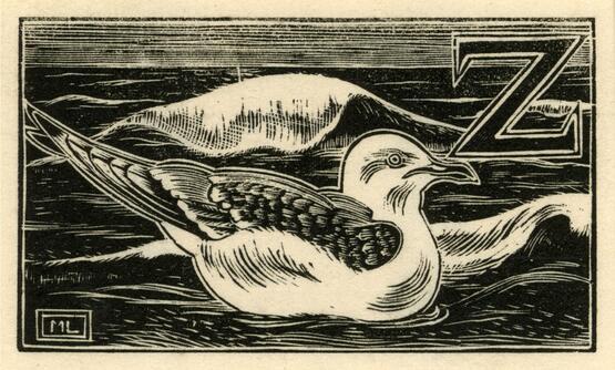 'Z' - Unknown sea-bird (Illustration to 'An Alphabet of British Birds') (1934-5)