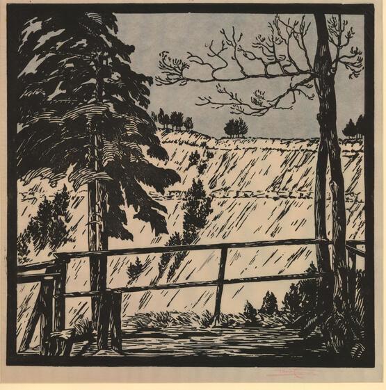 Fences and Trees, Switzerland (circa 1925)
