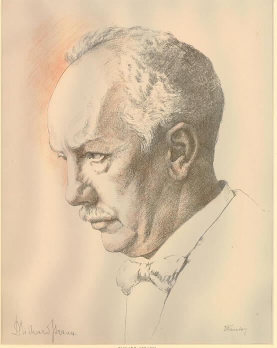 Richard Strauss (1917)