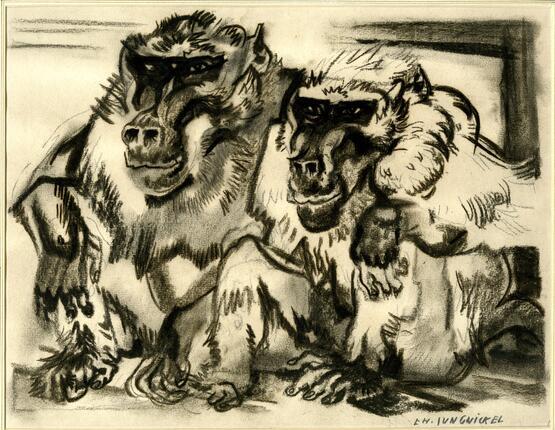 Baboons (1896-1940)