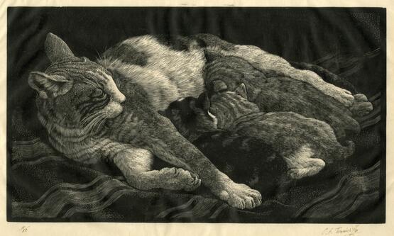 Cat and kittens (1926)