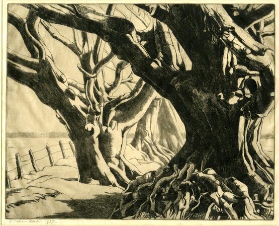 Beech trees (1937)