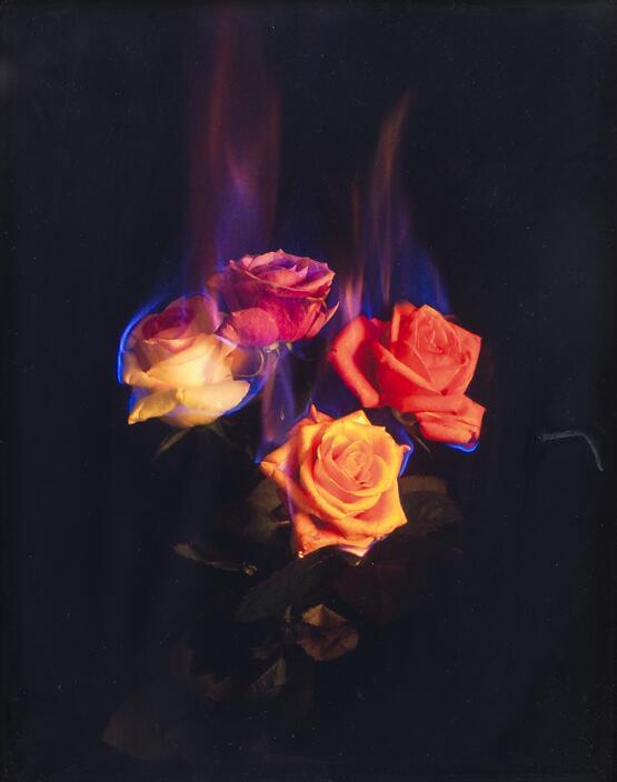Burning Flowers 2 (2003)