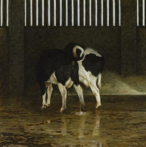 Cows (1984)